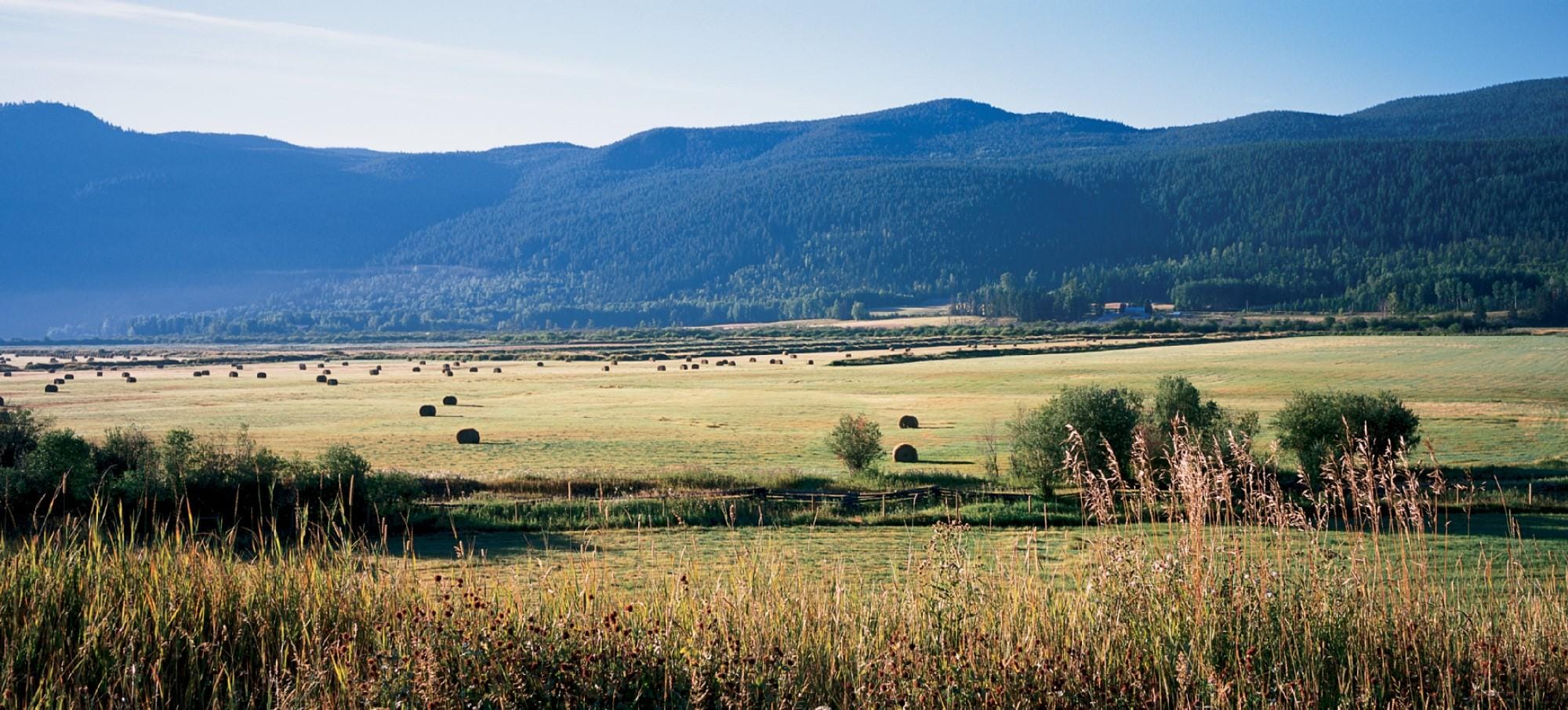100 Mile House, BC — South Cariboo landscape